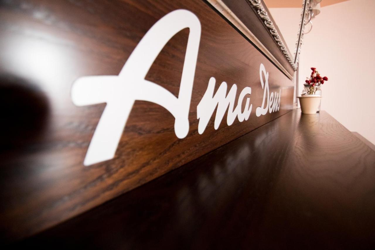 Hotel Amadeus Focşani エクステリア 写真